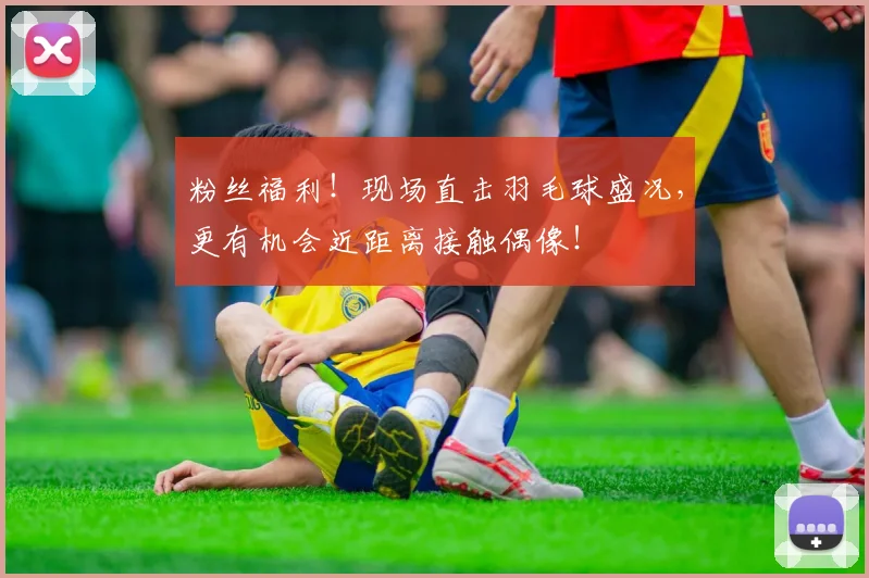 粉丝福利!现场直击羽毛球盛况,更有机会近距离接触偶像!