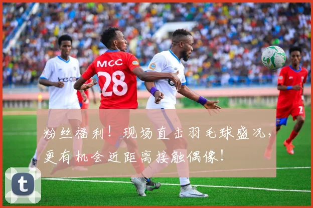 粉丝福利！现场直击羽毛球盛况，更有机会近距离接触偶像！