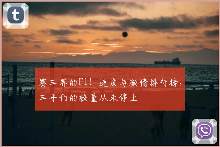 赛车界的F1!速度与激情排行榜,车手们的较量从未停止